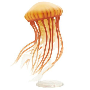 lC`[eNjJ[ NQ LEDCgRNV2 [5.pVtBbNV[lbg]ylR|XzΉzyCz