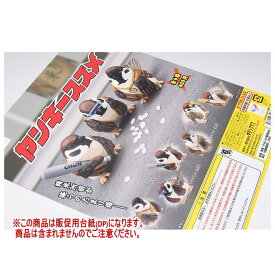 ことりの休日 ヤンキースズメ ［DP(台紙) ※商品は含まれません］[250419]【ネコポス配送対応】