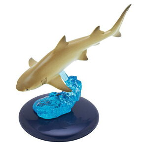 �l�C�`���[�e�N�j�J���[400 �T��(�Ĕ�) [5.�������U��]�y�l�R�|�X�z���Ή��z�yC�z[sale250719]