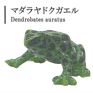 hNKG̐E Vol.1 [2.}_hNKG]ylR|XzΉzyCz[sale250723]