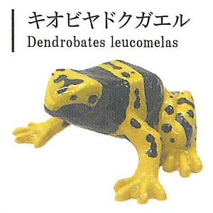 hNKG̐E Vol.1 [4.LIrhNKG]ylR|XzΉzyCz[sale250723]