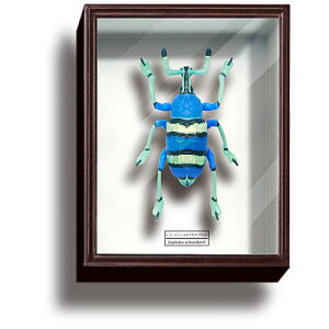 TCGXeNjJ[ hCc }OlbgRNV4 [3.V[GwzEZL]EV]ylR|XzΉzyCz