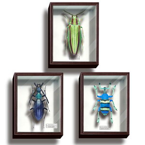 TCGXeNjJ[ hCc }OlbgRNV4 [A\[g3Zbg (1.}g^}V/2.IIITV/3.V[GwzEZL]EV)]ylR|XzΉzyCz