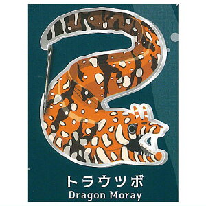 Ec{̃Jri [5.gEc{]ylR|XzΉzyCz