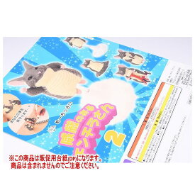 めーちっさい 威厳のあるチンチラさん2 ［DP(台紙) ※商品は含まれません］[250625]【ネコポス配送対応】