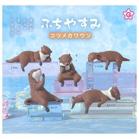 【全部揃ってます!!】ふちやすみコツメカワウソ [全5種セット(フルコンプ)]【ネコポス配送対応】【C】