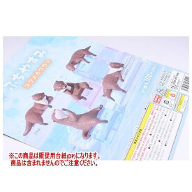 ふちやすみコツメカワウソ ［DP(台紙) ※商品は含まれません］[250701]【ネコポス配送対応】