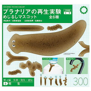 ySĂ܂!!zTCGXeNjJ[ viA̍Đ ߂邵}XRbg [S6Zbg(tRv)]ylR|XzΉzyCz