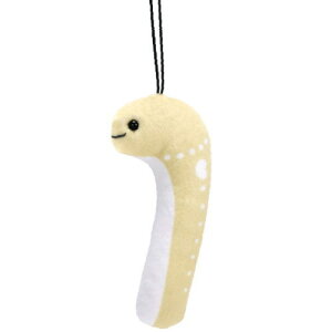 `AiSʂ2 [3.zCgX|ebhK[fC[]ylR|XzΉzyCz[sale251105]