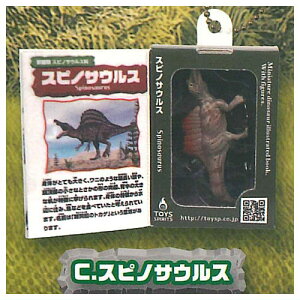 ~j`AW{t}Ӄ}XRbg II [3.XsmTEX]ylR|XzΉzyCz[sale250919]