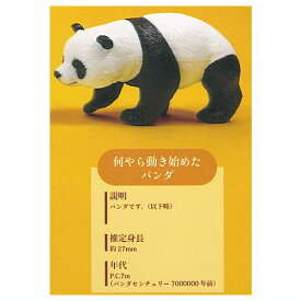 パンダ進化 フィギュアコレクション [4.何やら動き始めたパンダ]【 ネコポス不可 】【C】