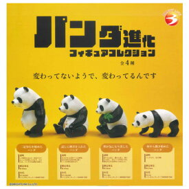 【全部揃ってます!!】パンダ進化 フィギュアコレクション [全4種セット(フルコンプ)]【 ネコポス不可 】【C】