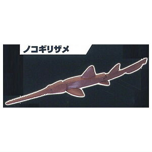 ׂ鐶tBMAV[Y UEV[N WIL̂Ȃ [3.mRMU]ylR|XzΉzyCz