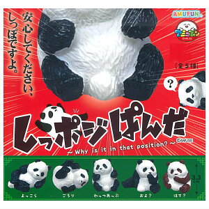 ySĂ܂!!z|Wς [S5Zbg(tRv)]y lR|Xs zyCz