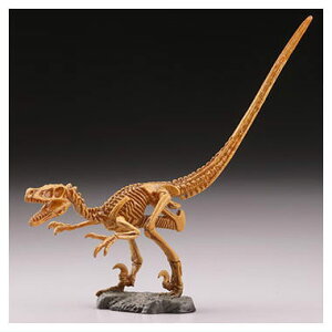 JvZQ @L I ŋ̎ [5.FLvgSgi]y lR|Xs zyCz