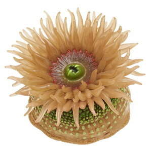 lC`[eNjJ[MONO PLUS ׂ݂̂̃}Olbg{[`F[2 [6.~hC\M`N(sN)]ylR|XzΉzyCz