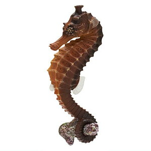 lC`[eNjJ[MONO PLUS ׂ݂̂̃}Olbg{[`F[2 [7.IIE~E}(Œ)]ylR|XzΉzyCz