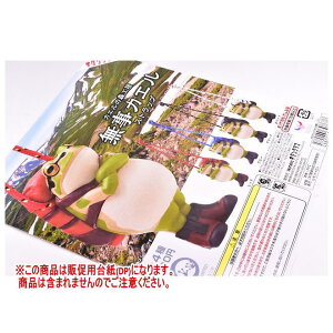 JG̐XH[ JG Xgbv(Ĕ) mDP(䎆) i͊܂܂܂n[251110]ylR|XzΉz