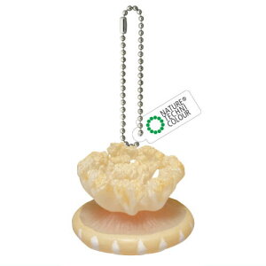 lC`[eNjJ[ MONO PLUS NQ ՂɂՂɃ{[`F[ [2.TJTNQ]ylR|XzΉzyCz