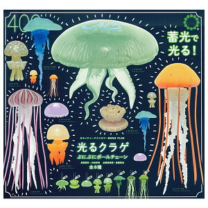 ySĂ܂!!zlC`[eNjJ[ MONO PLUS NQ ՂɂՂɃ{[`F[ [S8Zbg(tRv)]ylR|XzΉzyCz