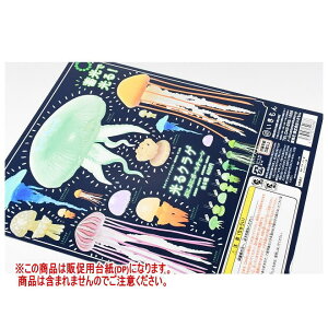 lC`[eNjJ[ MONO PLUS NQ ՂɂՂɃ{[`F[ mDP(䎆) i͊܂܂܂n[251114]ylR|XzΉz