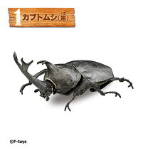 楽天市場】クワガタ 幼虫（食玩・おまけ｜コレクション）：ホビーの通販