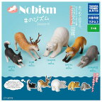 【全部揃ってます!!】Nobism #のびズム Season4 [全5種セット(フルコンプ)]【 ネコポス不可 】【C】