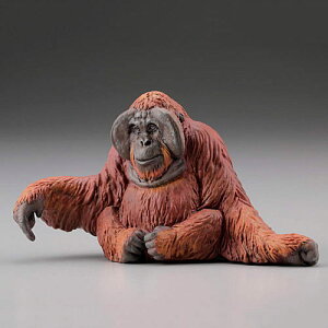 JvZQ ChEbV WILD RUSH ^EEIV AWAEMѕ [4.IE[^]ylR|XzΉzyCz