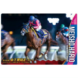 サラブレッドホースコレクション ツインウエハース 第2R [25.メイショウハリオ 第46回帝王賞競走(JpnI) ：ノーマルカード]【ネコポス配送対応】【C】【カード】