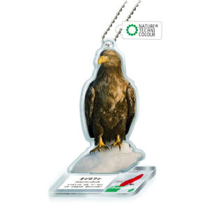 lC`[eNjJ[ ERY m AN}XRbg [6.IWV]ylR|XzΉzyCz