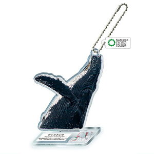 lC`[eNjJ[ ERY } AN}XRbg [4.UgENW]ylR|XzΉzyCz