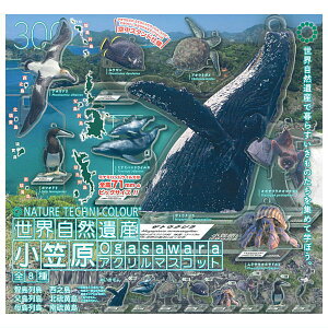 ySĂ܂!!zlC`[eNjJ[ ERY } AN}XRbg [S8Zbg(tRv)]ylR|XzΉzyCz