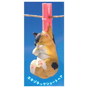 a3 ςLCɂȂċC [1.GL]`bNV[gwA]ylR|XzΉzyCz