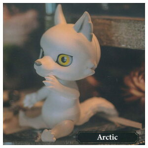 CAPSULE DOLL Vol.4 T [1.Arctic]y lR|Xs z