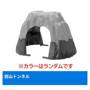 JvZv[ 񂵂g[}X RrHVhj[ƃpNXg [13.Rgl (J[̓_ł)]y lR|Xs z[sale251002]