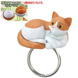 Ringcolle! ほっこりんぐ ねこなべ2 [1.茶白 ※鍋の色はランダムです。]【 ネコポス不可 】【C】[sale230802]