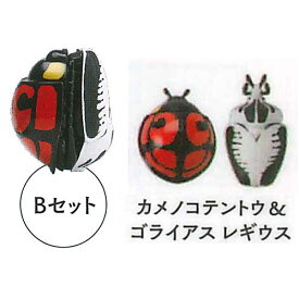 3Dファイルシリーズ　THEてんとう虫＆ハナムグリ [2.カメノコテントウ＆ゴライアス レギウス]【 ネコポス不可 】【C】[sale220901]