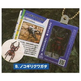 THE. 標本付 昆虫大図鑑マスコット(クワガタムシ編) [2.ノコギリクワガタ]【ネコポス配送対応】【C】[sale220901]