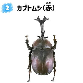 昆虫ハンター カブトムシ×クワガタ 2023 [2.カブトムシ(赤)]【 ネコポス不可 】