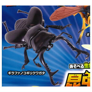 ׂ鐶tBMAV[Y ̐X ogg[ig [1.Mt@mRMNK^]y lR|Xs z[sale230802]