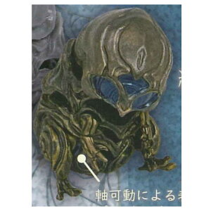 aM 2 [5.[vgD J[ver.]y lR|Xs z[sale220706]