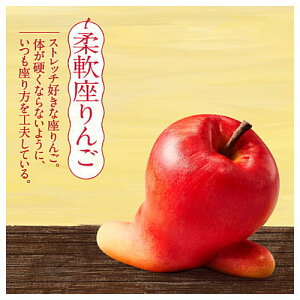 p_̌  [3._]y lR|Xs zyCz[sale230405]