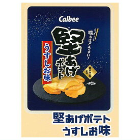 カルビー アクリルクリップ [2.堅あげポテトうすしお味]【ネコポス配送対応】【C】[sale231203]