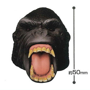 THE }XNRNV Vol.3 [3.S]y lR|Xs z[sale240115]