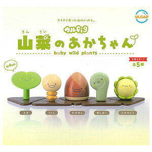 ySĂ܂!!zEfig R؂̂ [S5Zbg(tRv)]y lR|Xs zyCz[sale250612]