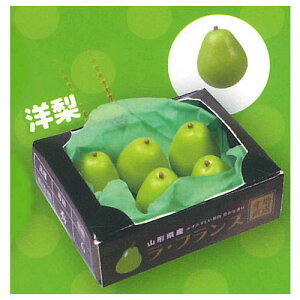 ՂɂƔt[c}XRbg5 [5.m]ylR|XzΉzyCz[sale251007]