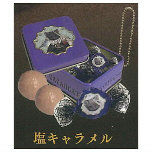 DREAMING CACAOCAT �}�X�R�b�g [4.���L��������]�y�l�R�|�X�z���Ή��z�yC�z[sale250723]