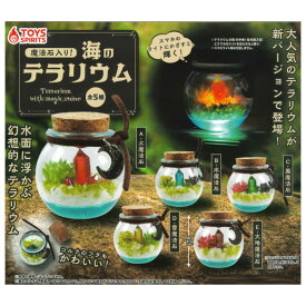 【全部揃ってます!!】魔法石入り！海のテラリウム [全5種セット(フルコンプ)]【 ネコポス不可 】【C】[sale250612]
