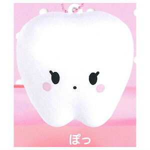 ̂̃XNC[Y [2.ۂ]y lR|Xs zyCz[sale250612]