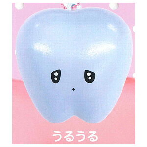 ̂̃XNC[Y [5.邤]y lR|Xs zyCz[sale250612]